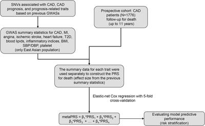 Polygenic risk score predicts all-cause death in East Asian patients with prior coronary artery disease